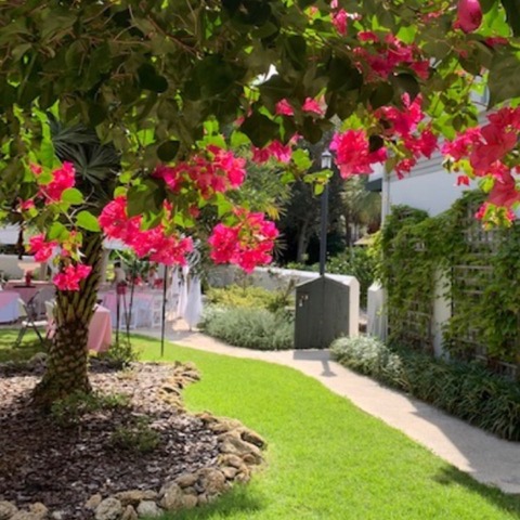 flowers and courtyard PPH