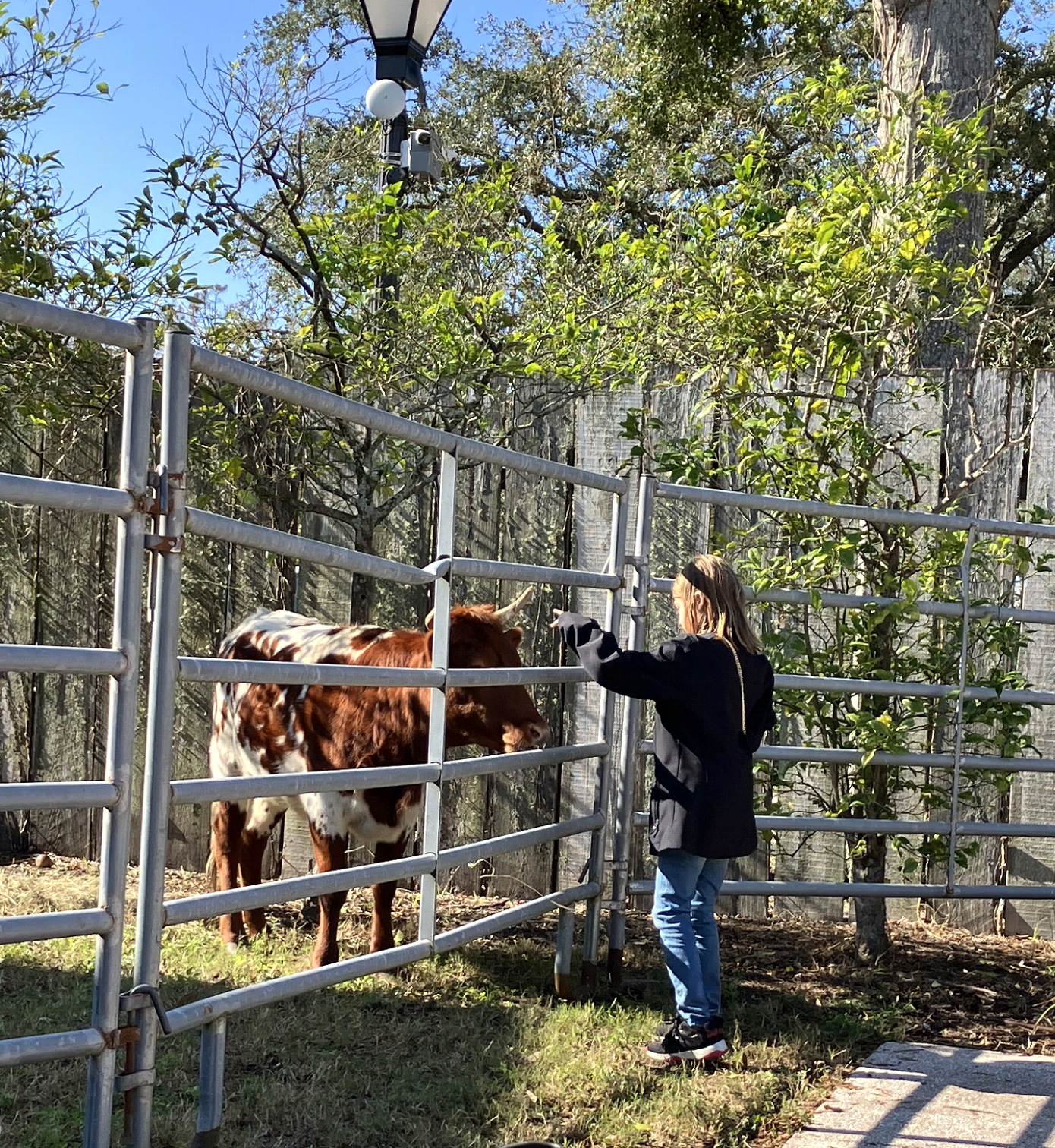 girl-reaching-through-fence